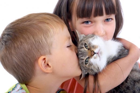 Alergije na mačke kod djece: simptomi i liječenje alergija na kosu mačaka kod djece