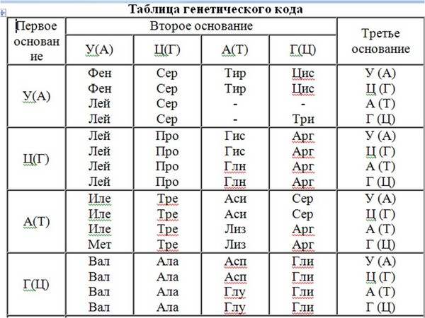 Kako se pripremiti za USE na biologiju
