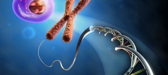Karyotyping supružnici, ili Kako planirati rođenje zdravog djeteta