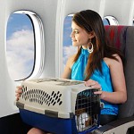 Prijevoz životinja u avionu