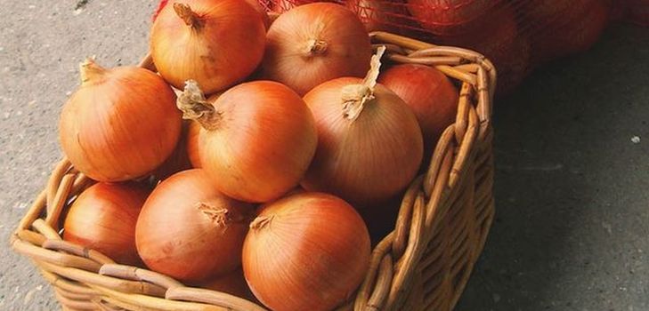 Skladištenje luka kod kuće u zimi