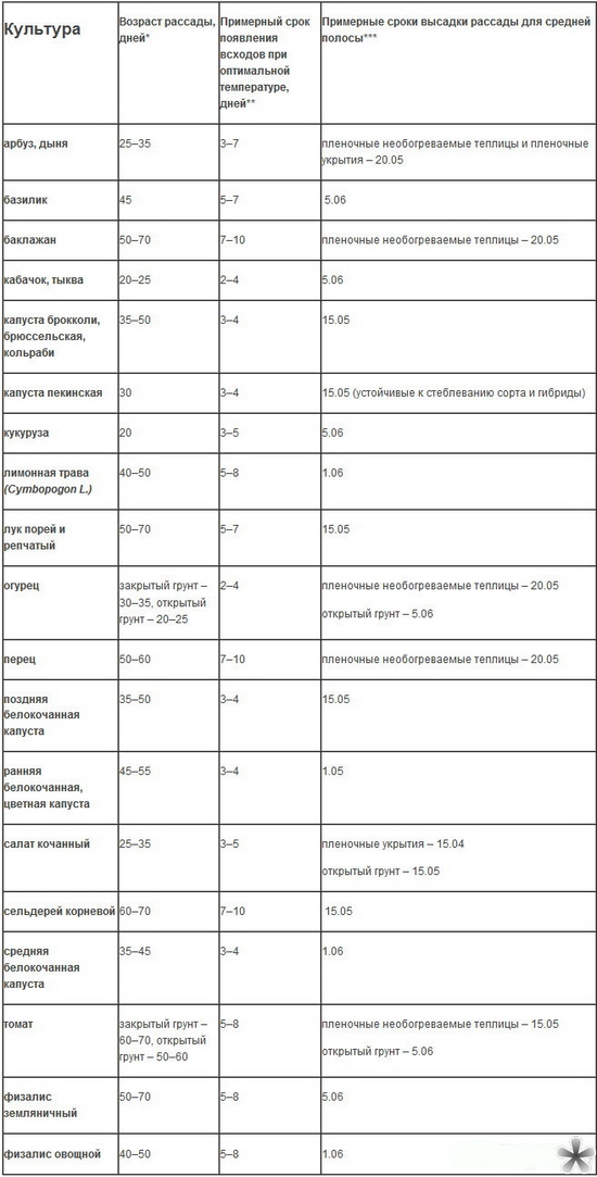 Kada saditi sadnice na otvorenom terenu?