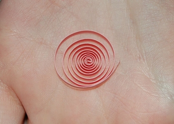 Quilling leptira