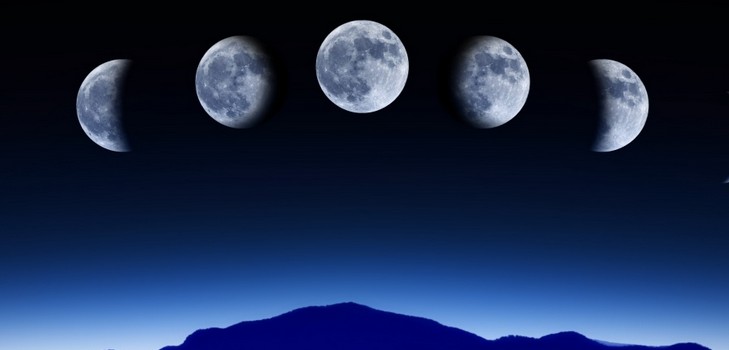 Lunar kalendar hortikulturnih vrtlara u kolovozu 2015