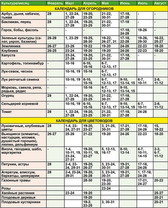 Lunar kalendar hortikulturnih vrtlara u kolovozu 2015