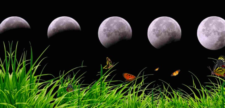 Lunar kalendar kamion farmer za kolovoz 2016 za Moskvu regiji, središnje zone Rusije, Urala, Sibira, Sjeverozapad, Bjelorusija i Ukrajina