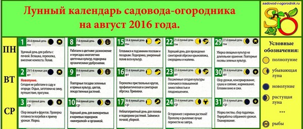 Lunar kalendar kamion farmer za kolovoz 2016 za Moskvu regiji, središnje zone Rusije, Urala, Sibira, Sjeverozapad, Bjelorusija i Ukrajina Lunar kalendar kamion farmer za kolovoz 2016 za Moskvu regiji, središnje zone Rusije, Urala, Sibira, Sjeverozapad, Bjelorusija i Ukrajina