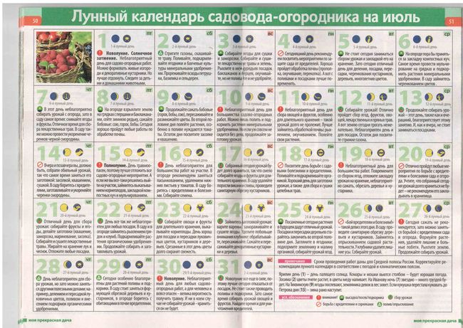 Mjesečev kalendar vrtlar u srednjem roku 2015