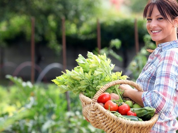 Lunarni kalendar za farmer kamiona za srpanj 2016. za Urale, Sjeverozapad i središnju zonu Rusije