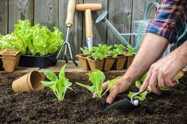 Lunarni kalendar za farmer kamiona za srpanj 2016. za Urale, Sjeverozapad i središnju zonu Rusije