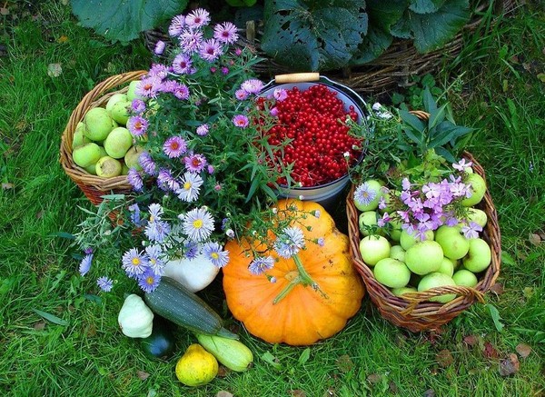 Lunar kalendar farmera kamiona za rujan 2016. za područje Moskve, Sjeverozapad, Ural, Sibir, Ukrajina, Bjelorusija Lunar kalendar farmera kamiona za rujan 2016. za područje Moskve, Sjeverozapad, Ural, Sibir, Ukrajina, Bjelorusija