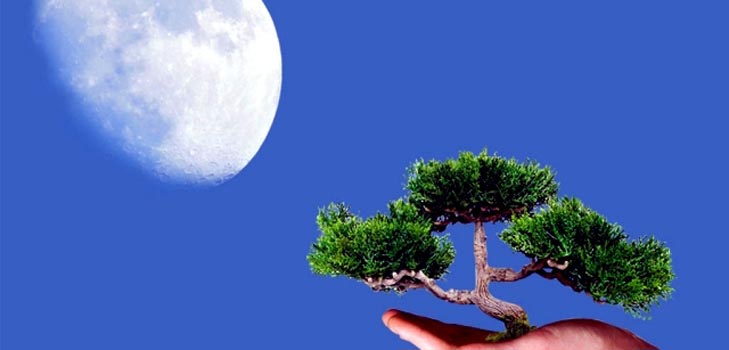 Lunar kalendar farmera vrtlar i kamion 2015 Lunar kalendar farmera vrtlar i kamion 2015