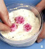 Sapun s rukama: Sakura cvijet Sapun s rukama: Sakura cvijet