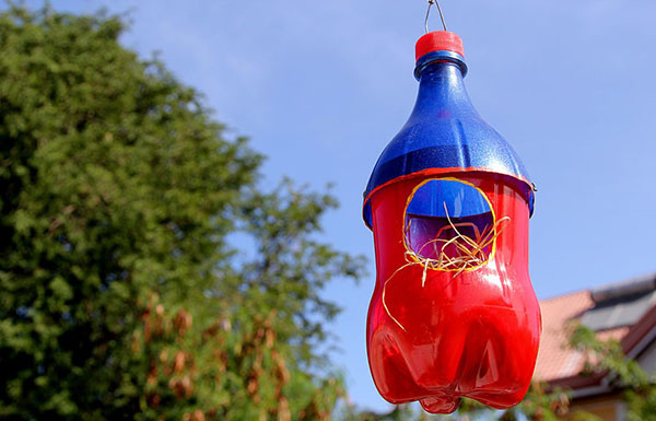 Novi obrti iz plastičnih boca s vlastitim rukama za vrt i voćnjak