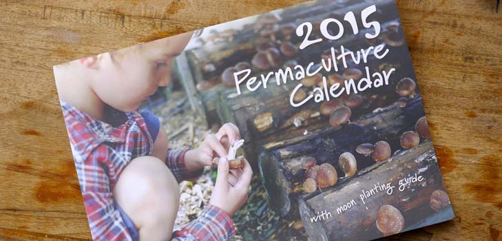 Kalendar sjetve 2015 .: planiramo raditi od siječnja do prosinca