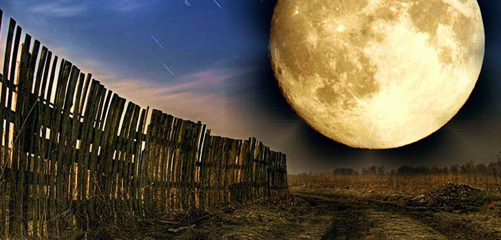 Kalendar lunarnog sjemena za travanj 2017
