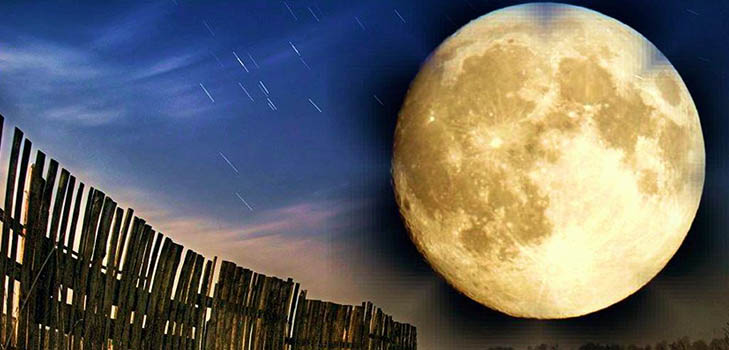 Kalendar lunarnog sjemena za svibanj 2017