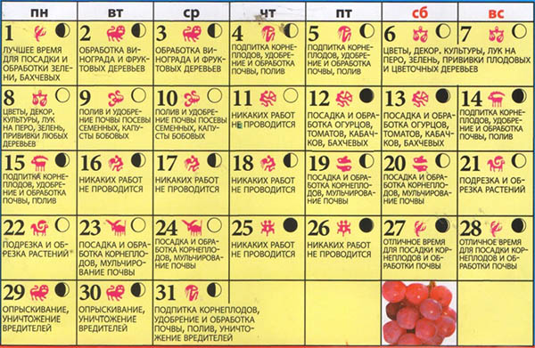 Kalendar lunarnog sjemena za svibanj 2017