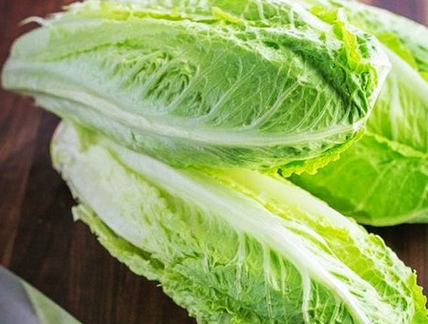 Uzgoj salate u teoriji i praksi, korisni savjeti i preporuke