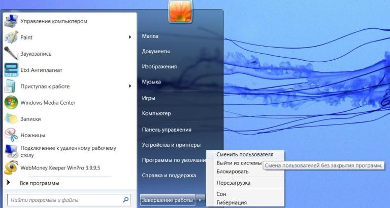 programski prozori