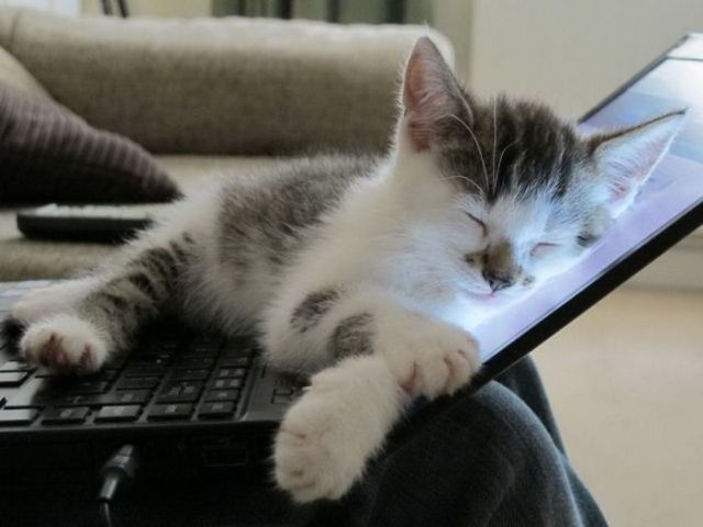 Kako isključiti način mirovanja u sustavu Windows 7