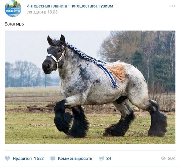 Kako su prikazi u VC