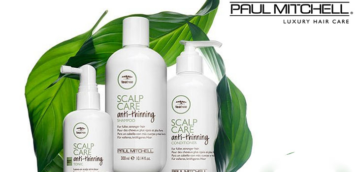 Snaga kose od korijena do savjeta: Paul Mitchell čaj stablo skalp care serije