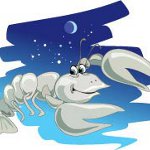 Horoskop za 2013 .: Rak