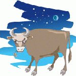 Horoskop za 2013 .: Bik