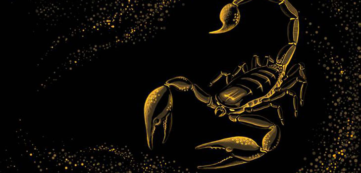 Koji su znakovi zodijaka za čovjeka Škorpiona?
