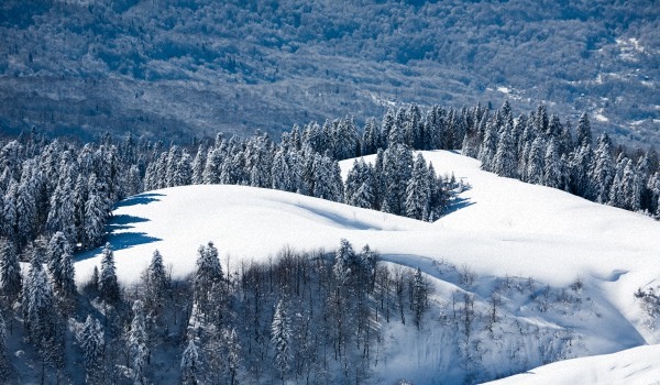 Vrijeme u Soči u veljači 2017