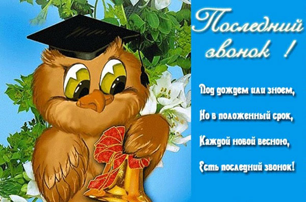 Želi zadnji poziv 2017