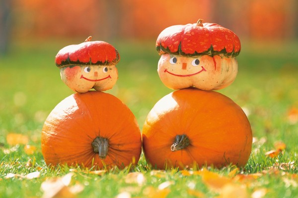 Scenarij Harvest Festivala za osnovnu školu, viši učenik, odrasle osobe i umirovljenici