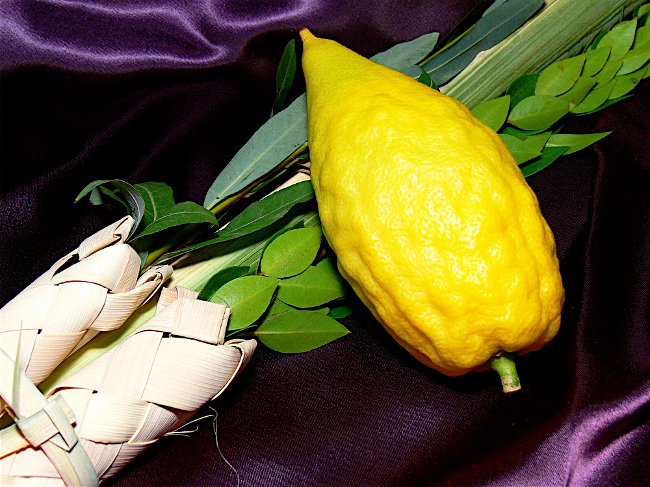 Sukkot: Blagdan Shalashi