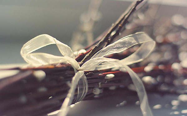 Palm Sunday: što učiniti