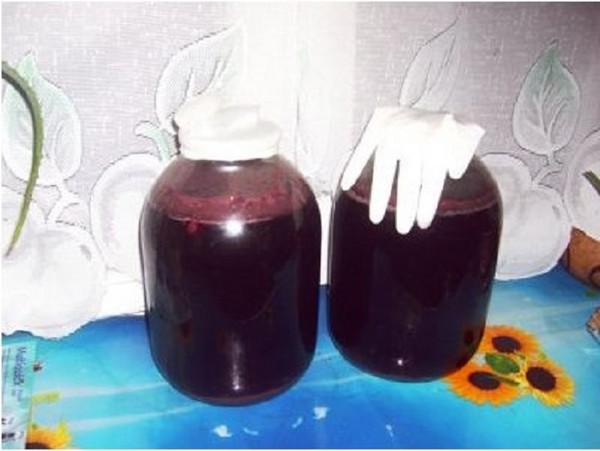 Domaće vino od trešnje, jednostavan recept s votkom, bez kvasca. Kako napraviti vina od višnje kod kuće s rukavicom