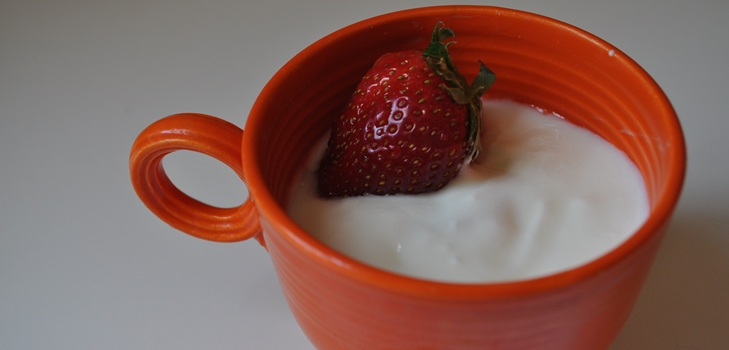 domaći jogurt recepti