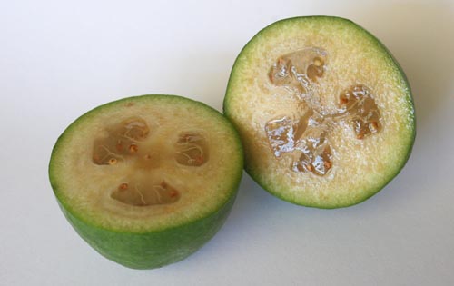 Feijoa s medom, recept s fotografijom