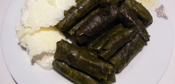 Kako kuhati dolmu kod kuće Kako kuhati dolmu kod kuće