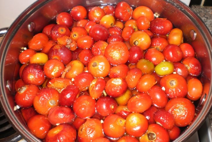 Kako pripremiti marmeladu iz dogrose za zimu: recept za pet-minutni snack