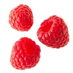 Kako zatvoriti maline za zimu