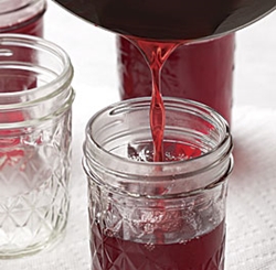 Kako zatvoriti maline za zimu