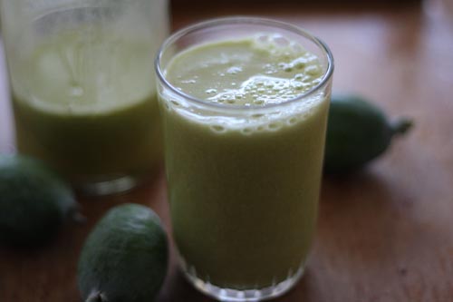 Sastav od feijoa, recept s fotografijom