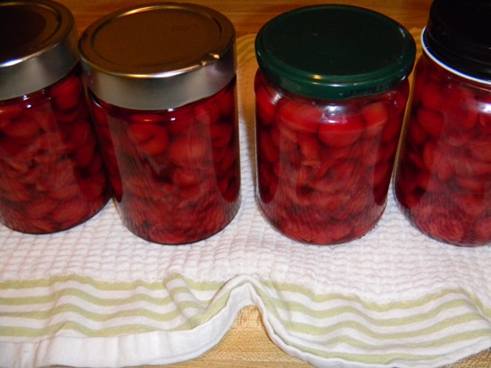 Mirisni kompot od višnje za zimu - recept