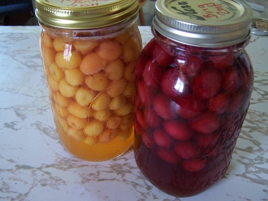 Mirisni kompot od višnje za zimu - recept