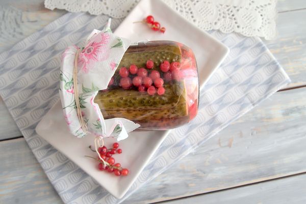 Konzervirane krastavce s crvenim ribizima, recept s fotografijom. Krastavci za zimu bez octa, recept