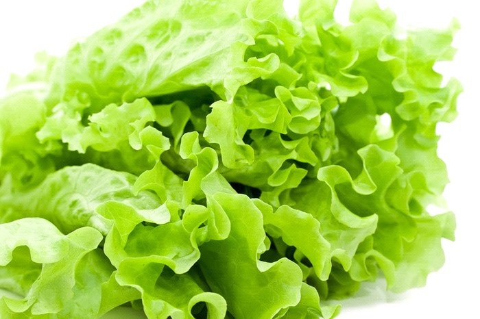 zelena salata