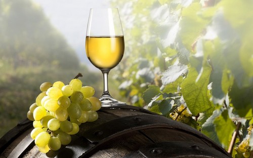 Najbolja crvena vina, koja svakako vrijedi probati