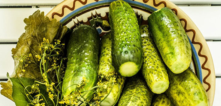 Lagano slanog hrskavog krastavaca - recept