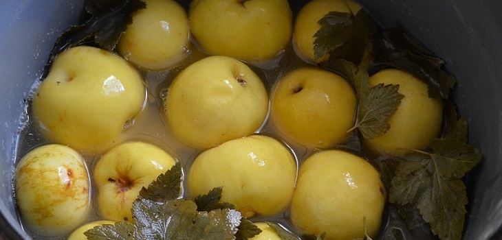 Recept za vlažne jabuke